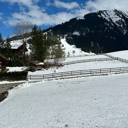 Alpenchalet Haldeli Ferienwohnung Gstaad Exterior photo