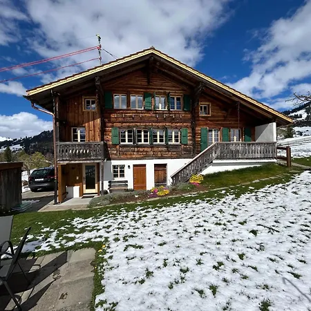 Alpenchalet Haldeli Ferienwohnung Gstaad Exterior photo