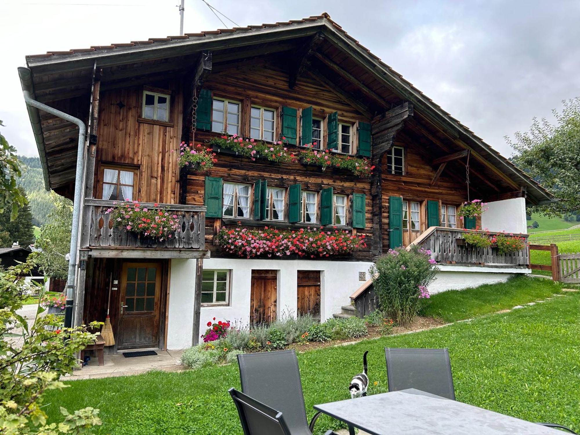 Apartment Alpenchalet Haldeli Gstaad