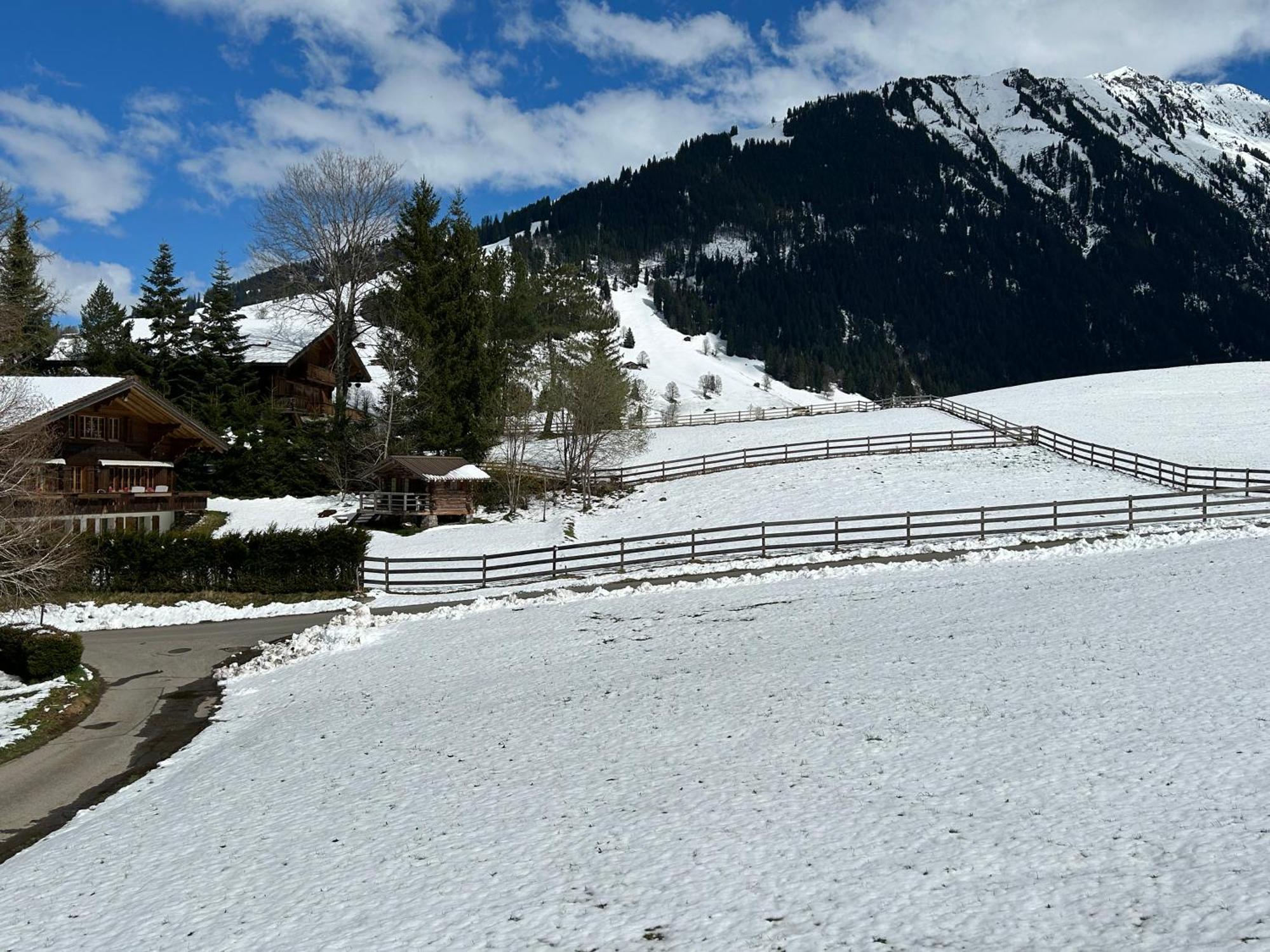 Alpenchalet Haldeli Apartment