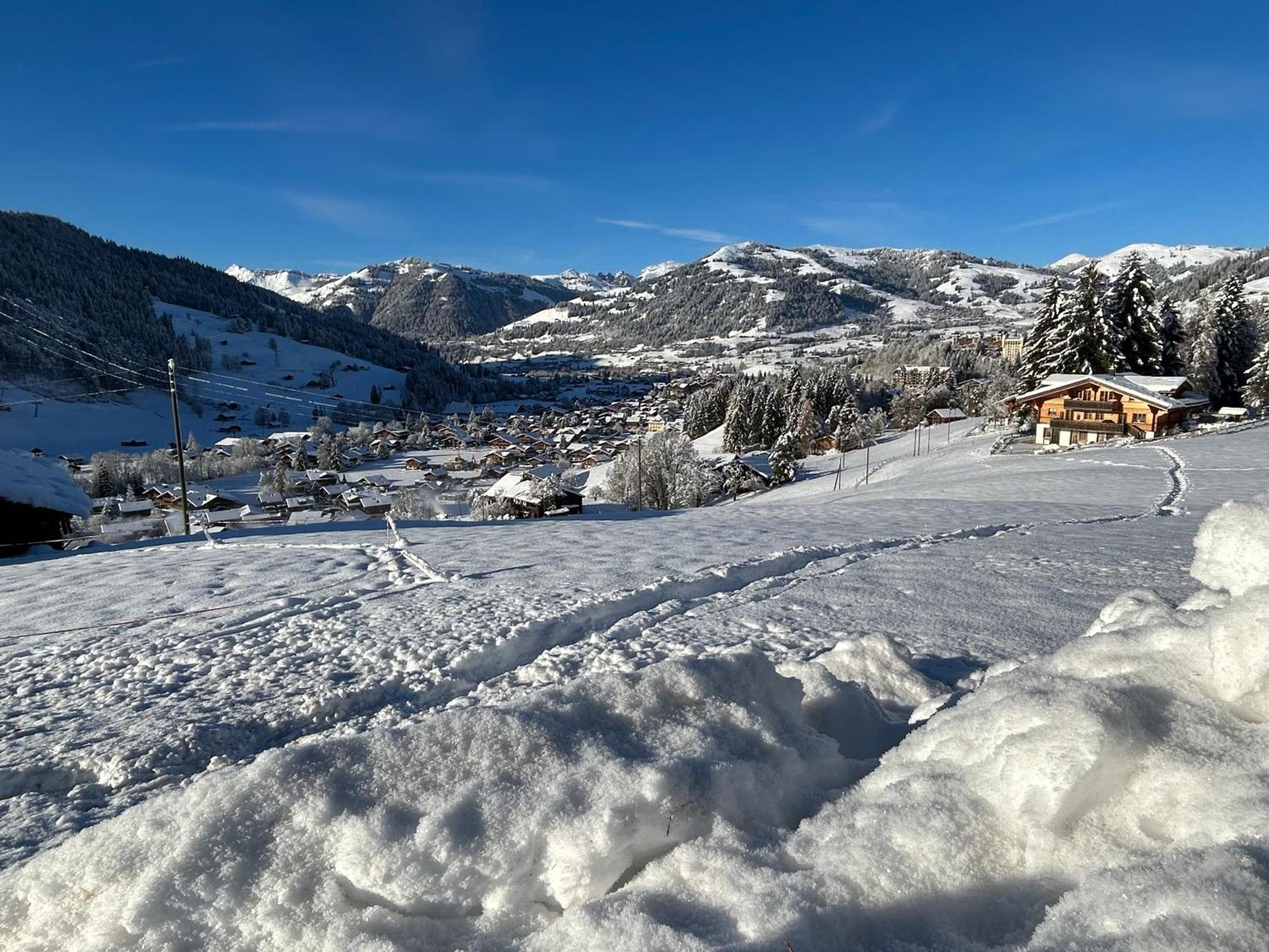 Alpenchalet Haldeli